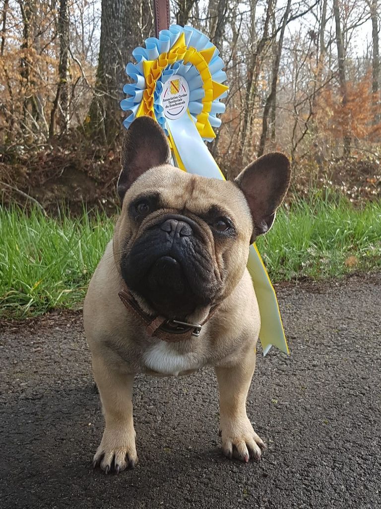 Publication : Berrybears Auteur : David et Christel Tesson