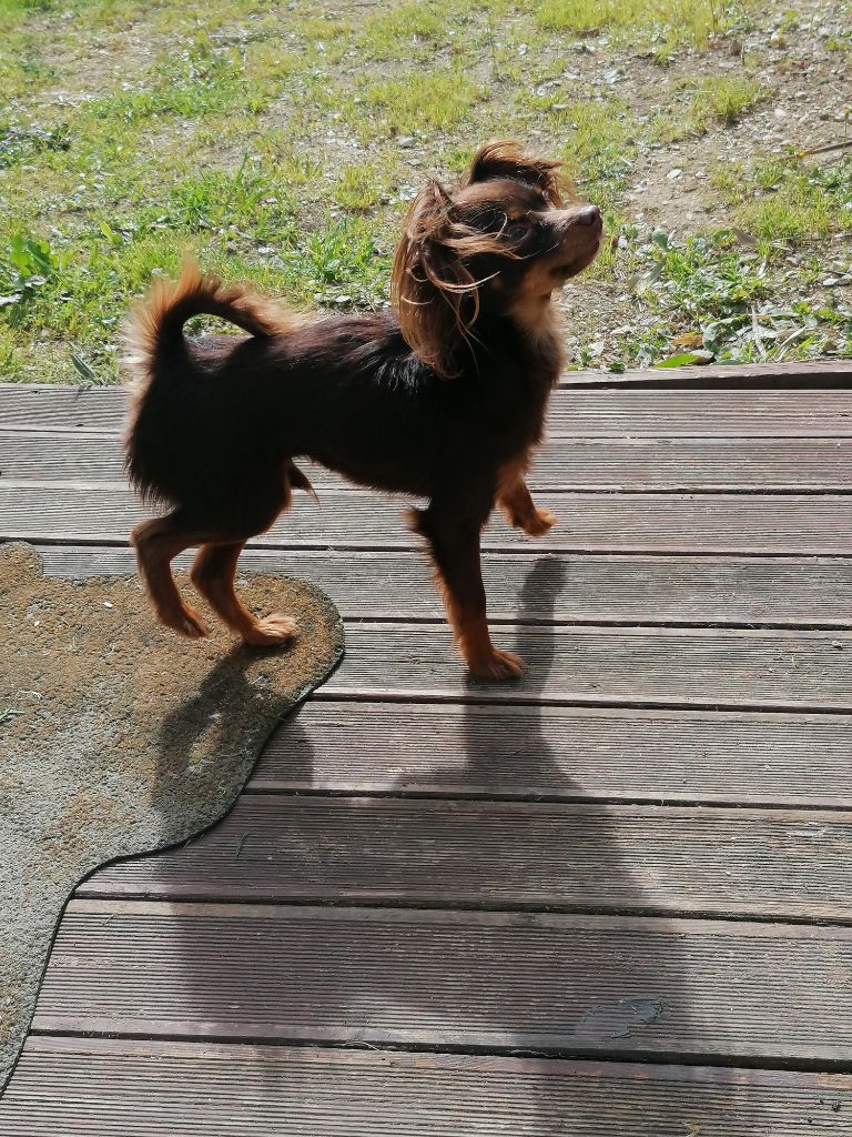 kiss of tender Paris dakkar