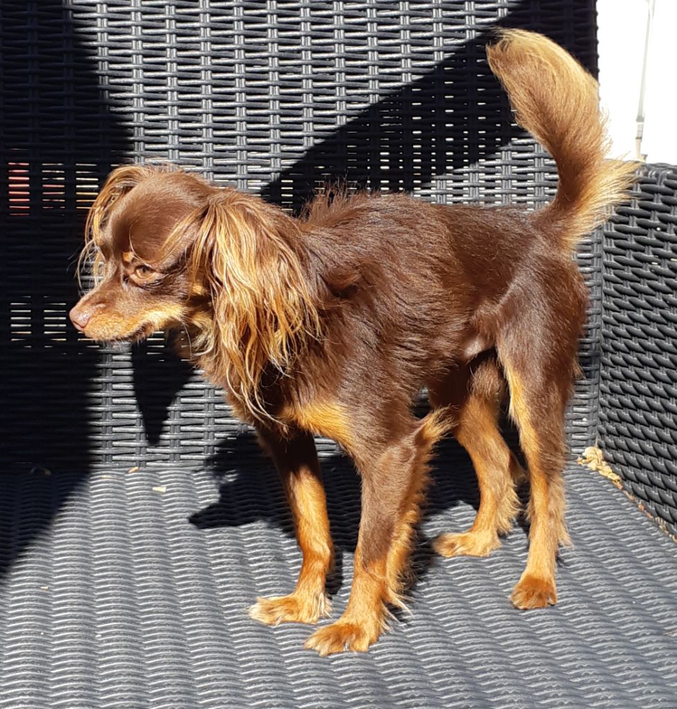 kiss of tender Paris dakkar