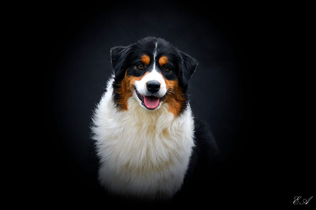 Publication : Of The Dream Of Haïti