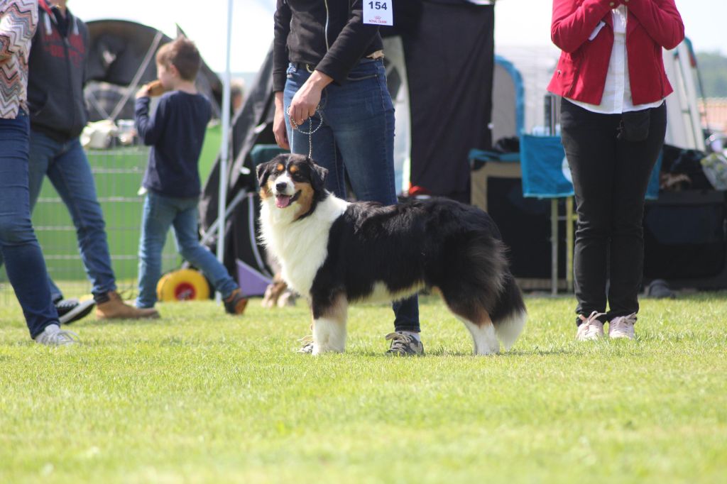 Publication : Of The Dream Of Haïti
