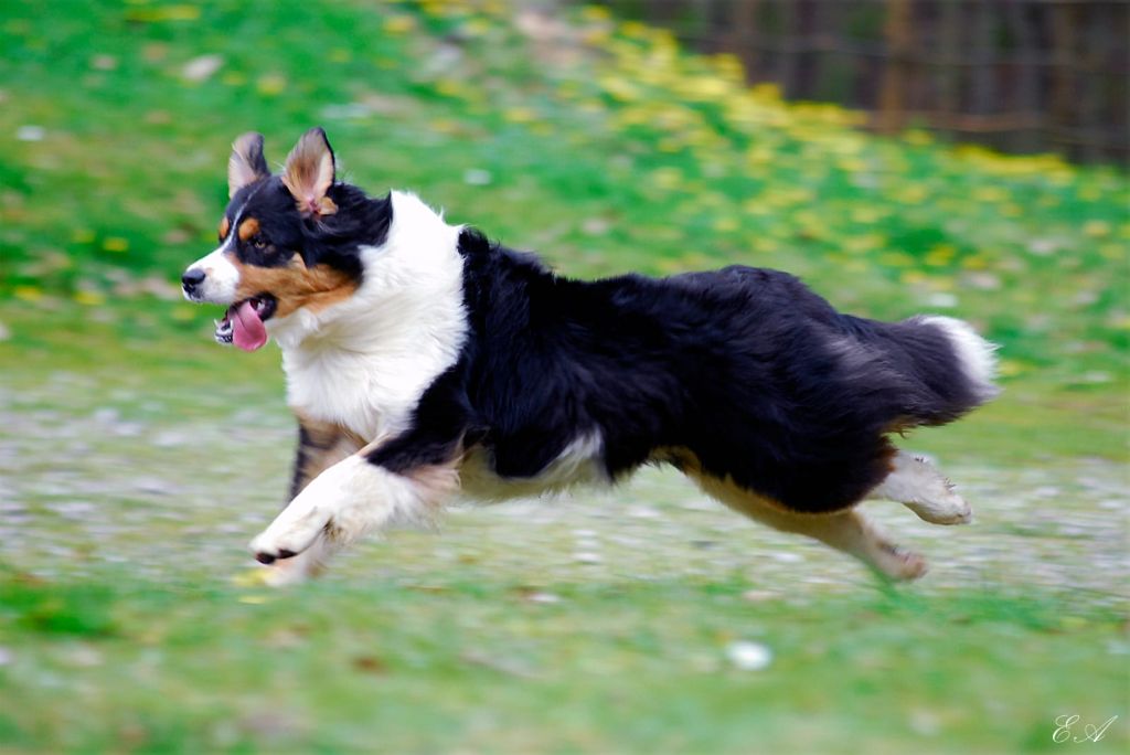 Publication : Of The Dream Of Haïti