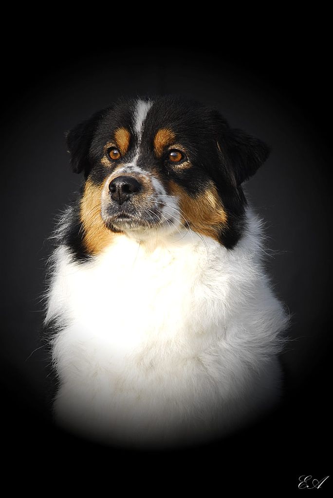 Publication : Of The Dream Of Haïti