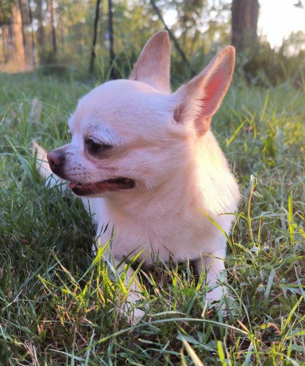 Publication : De La Nurserie De Nina