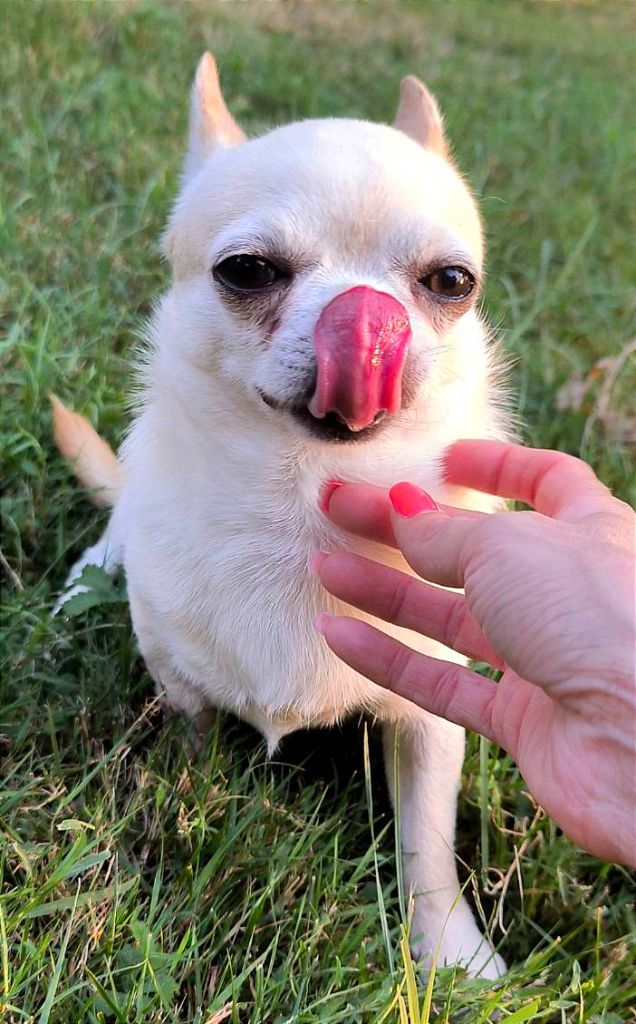 Publication : De La Nurserie De Nina