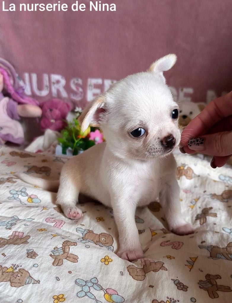 Aladin est réservé pour une dame au grand coeur