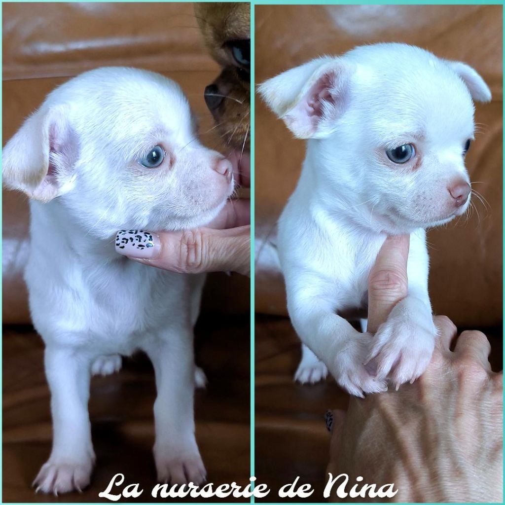 Arthur RESERVE pour un charmant couple