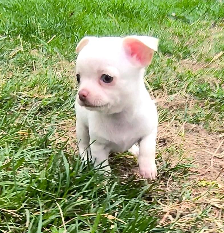 Arthur RESERVE pour un charmant couple