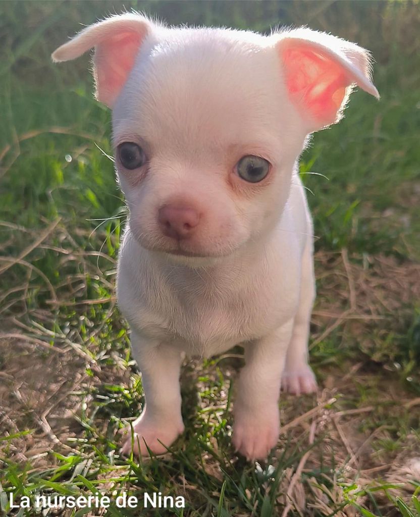 Arthur RESERVE pour un charmant couple