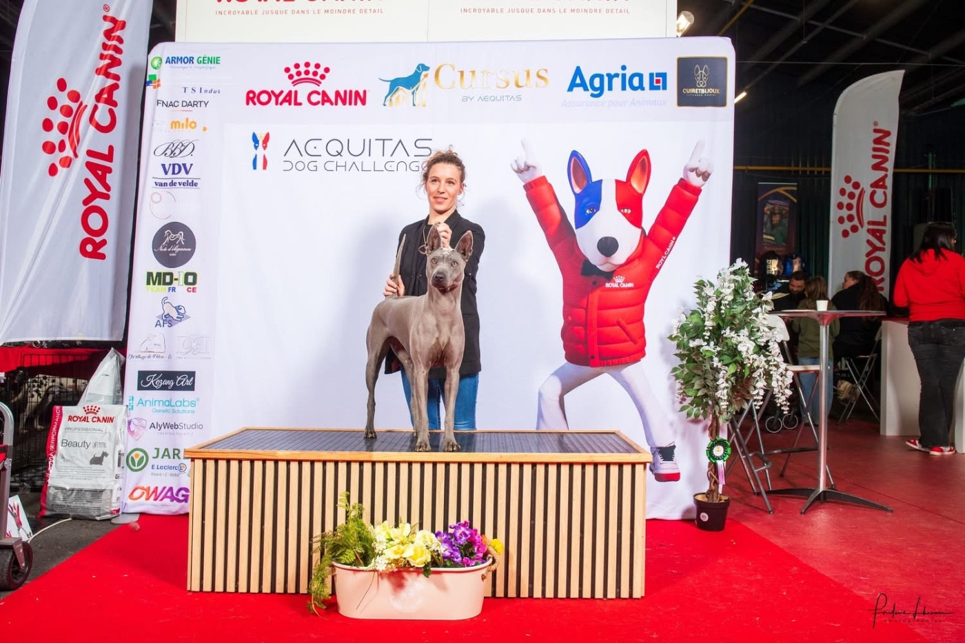 CH. Savanah (Sans Affixe) - CACS CACIB meilleur de race