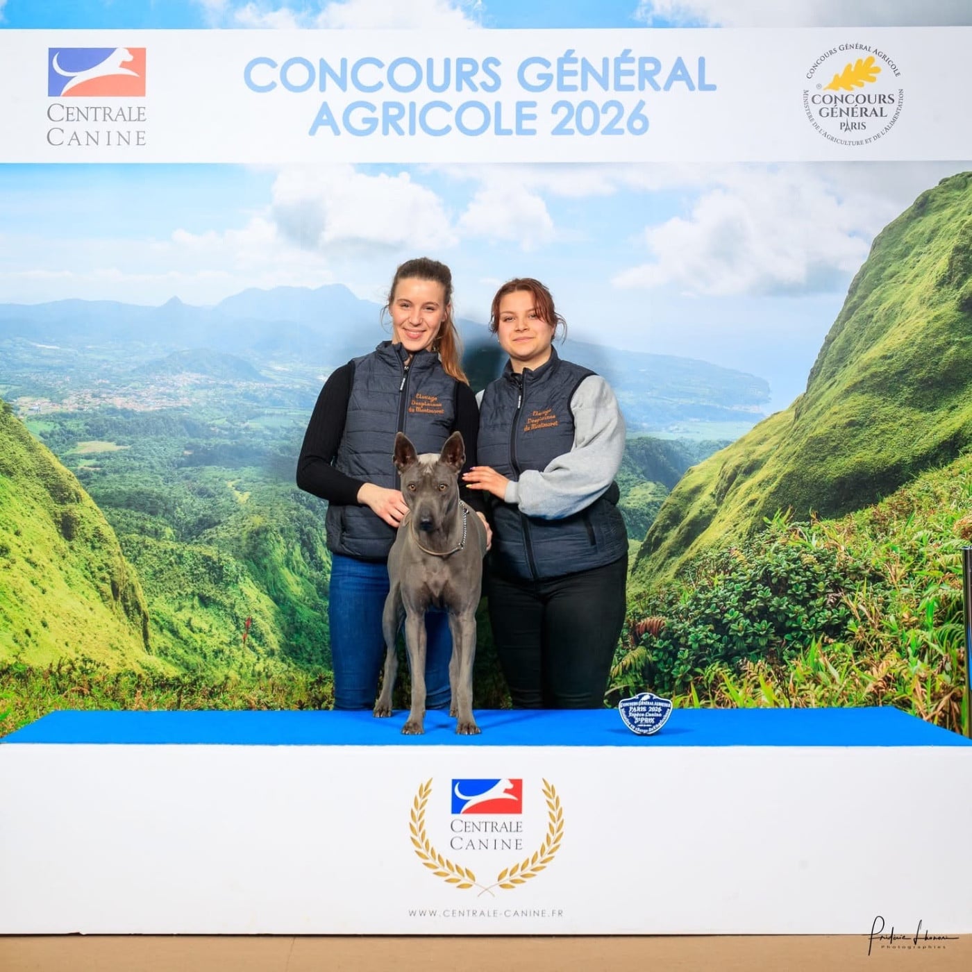 CH. Savanah (Sans Affixe) - 3e Lauréat CGA