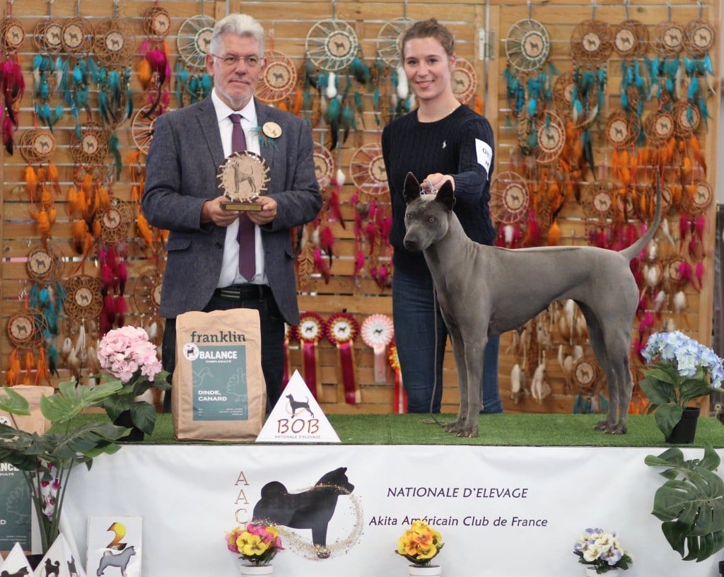 CH. Savanah (Sans Affixe) - Meilleure championne meilleure de race