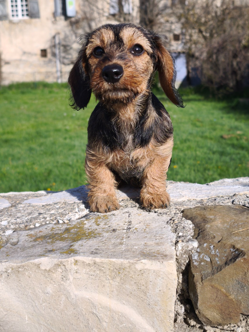 Publication : Des Terres De La Meouge Auteur : Anouchka KRIVOFF