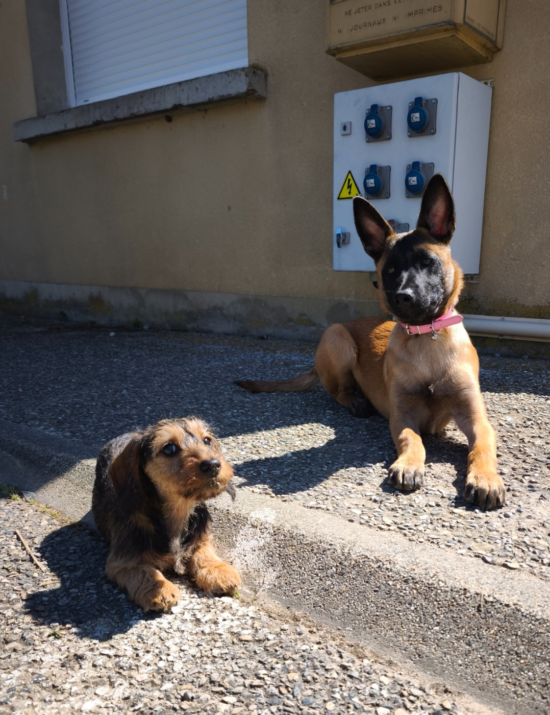 Publication : Des Terres De La Meouge Auteur : Anouchka KRIVOFF