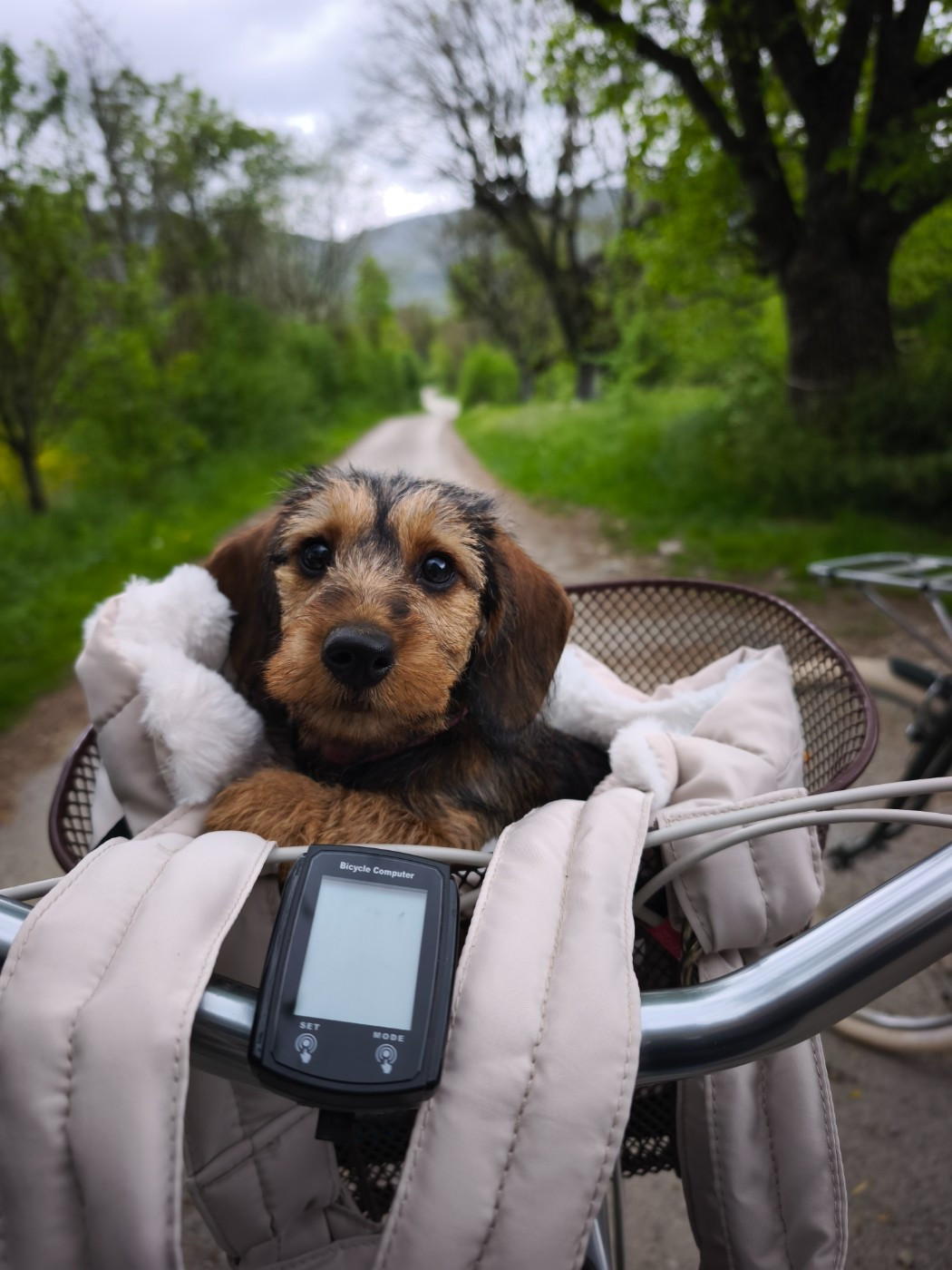 Publication : Des Terres De La Meouge Auteur : Anouchka KRIVOFF