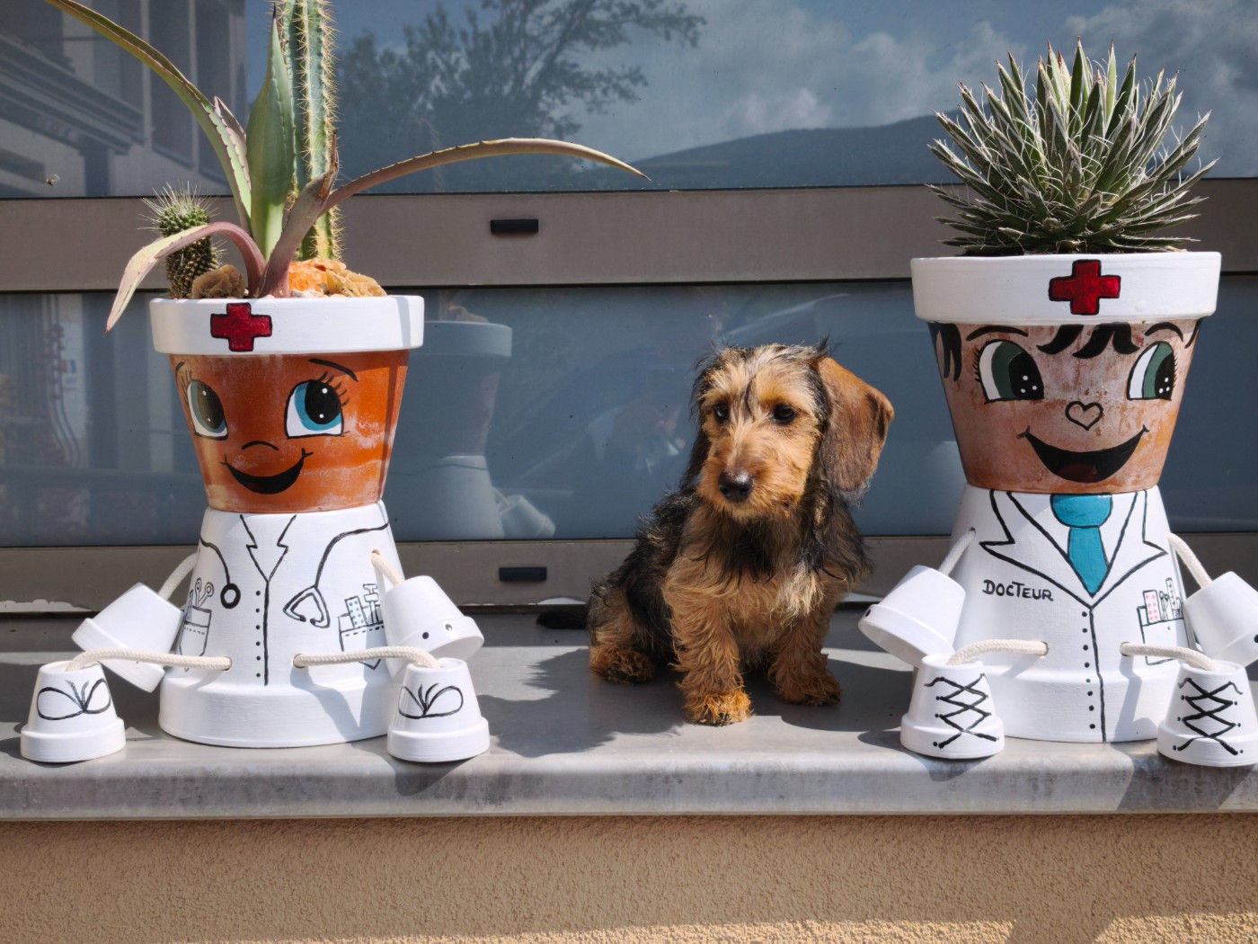 Publication : Des Terres De La Meouge Auteur : Anouchka KRIVOFF