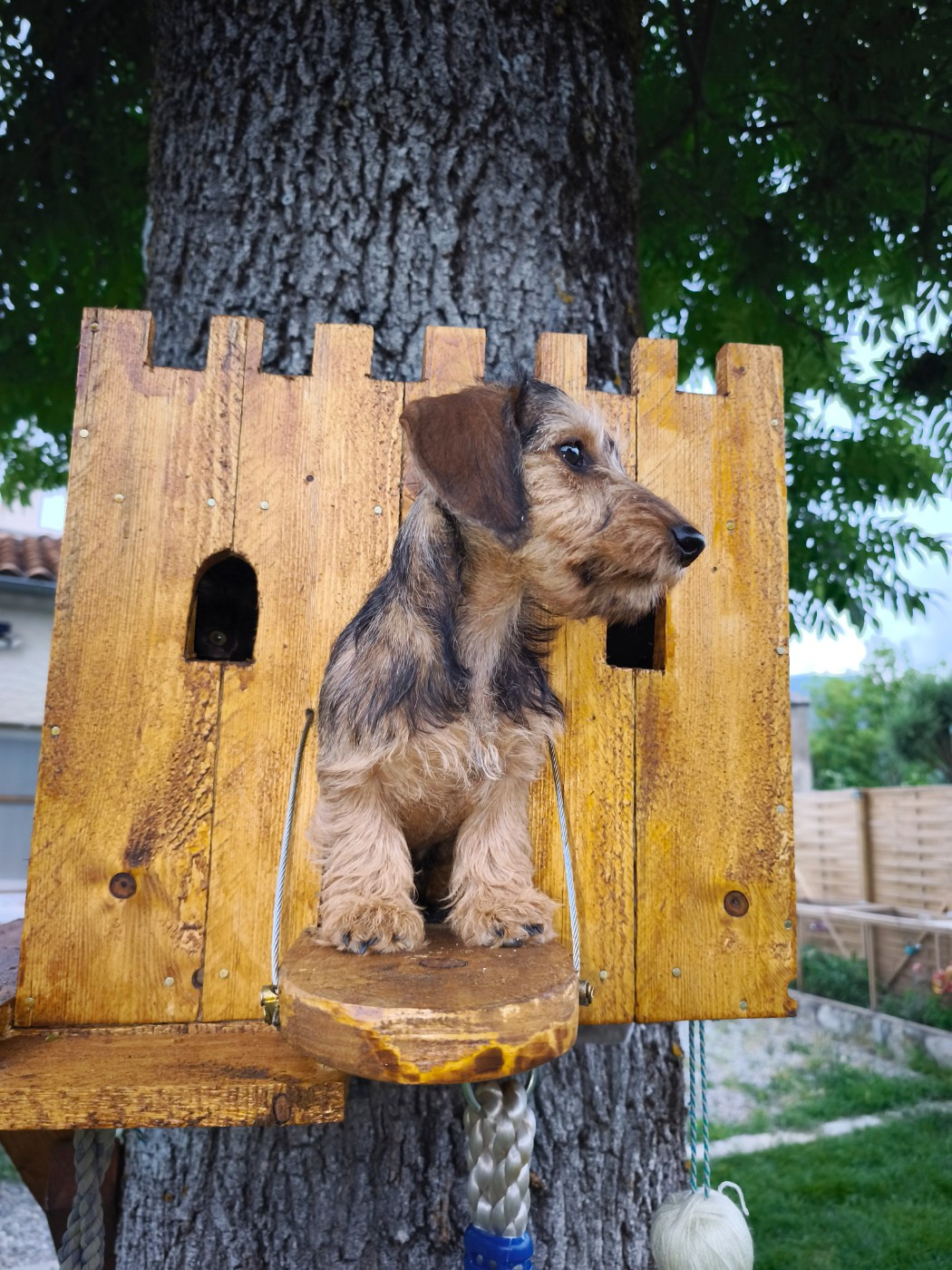 Publication : Des Terres De La Meouge Auteur : Anouchka KRIVOFF