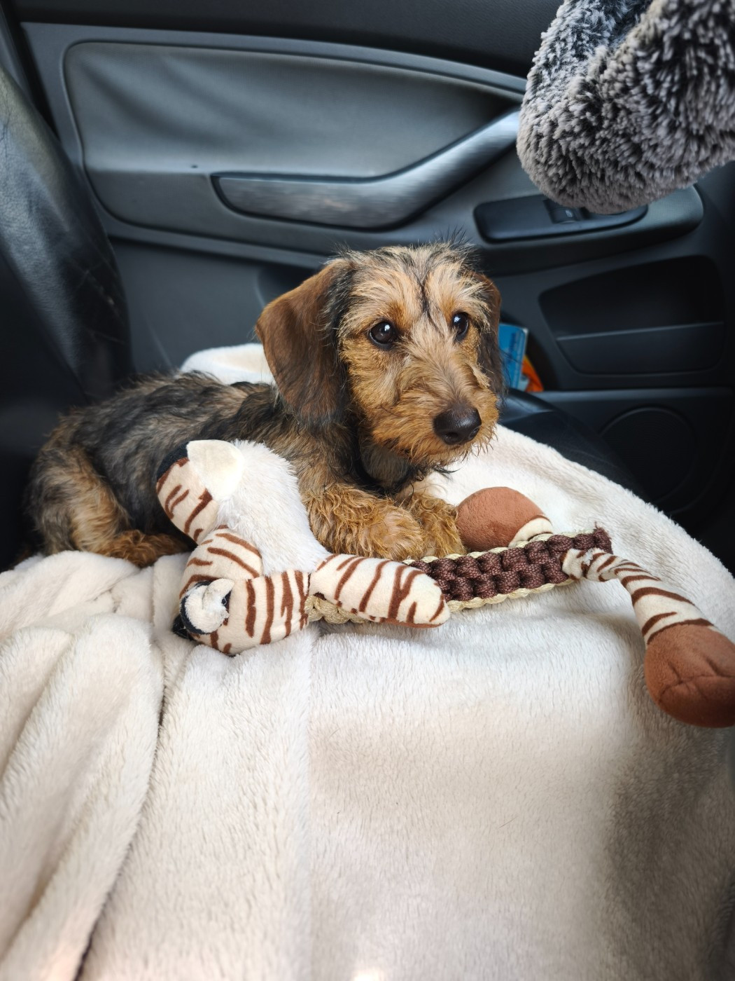 Publication : Des Terres De La Meouge Auteur : Anouchka KRIVOFF