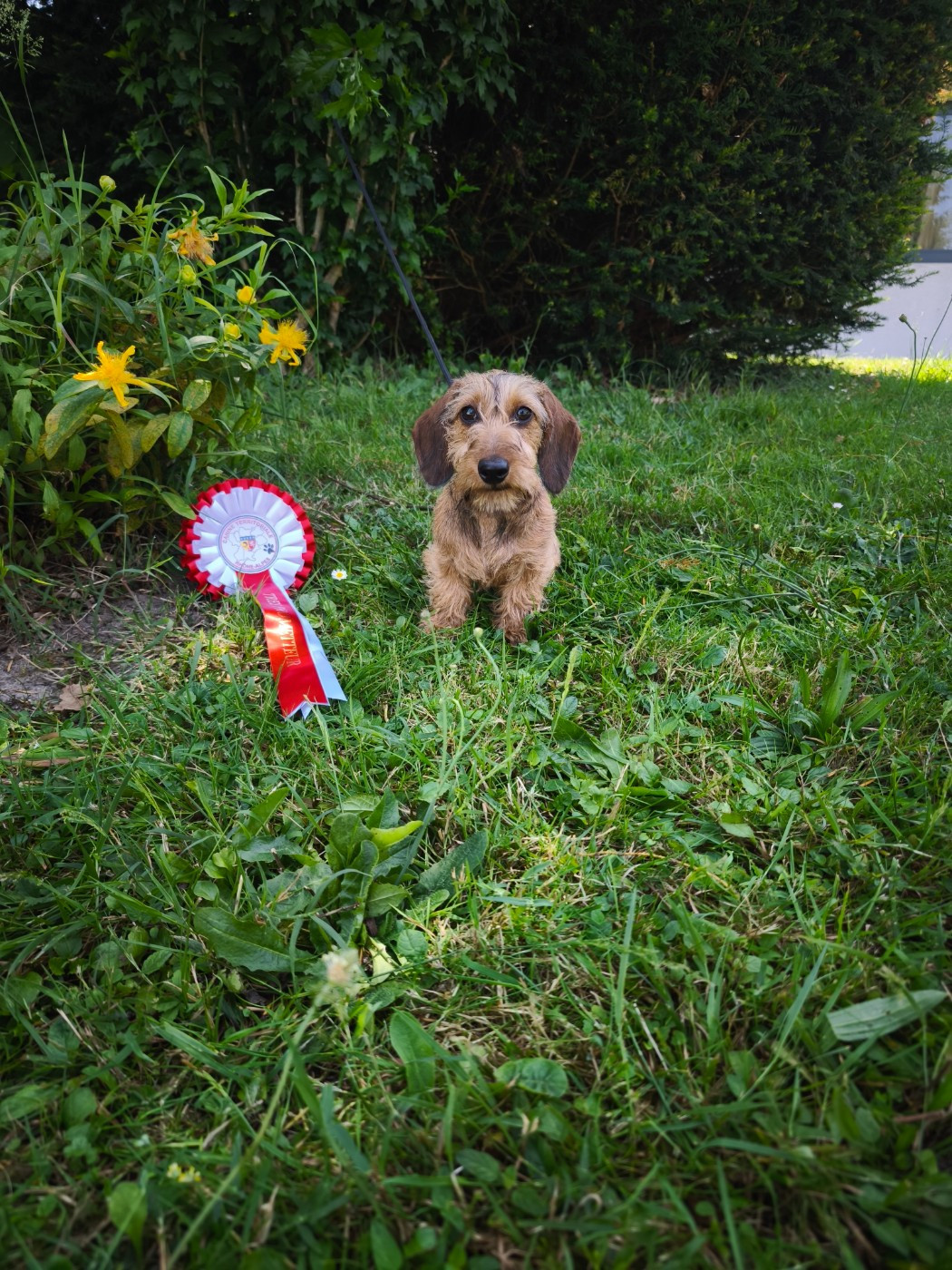 Publication : Des Terres De La Meouge Auteur : Anouchka KRIVOFF