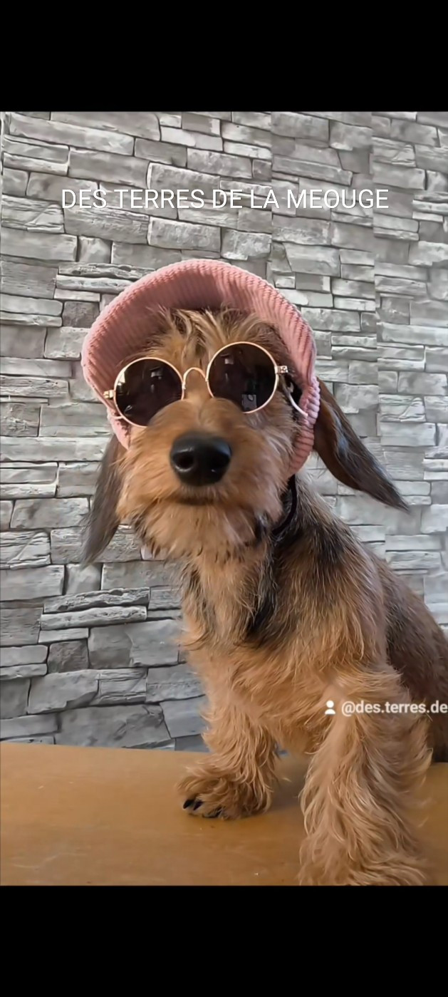 Publication : Des Terres De La Meouge Auteur : Anouchka KRIVOFF