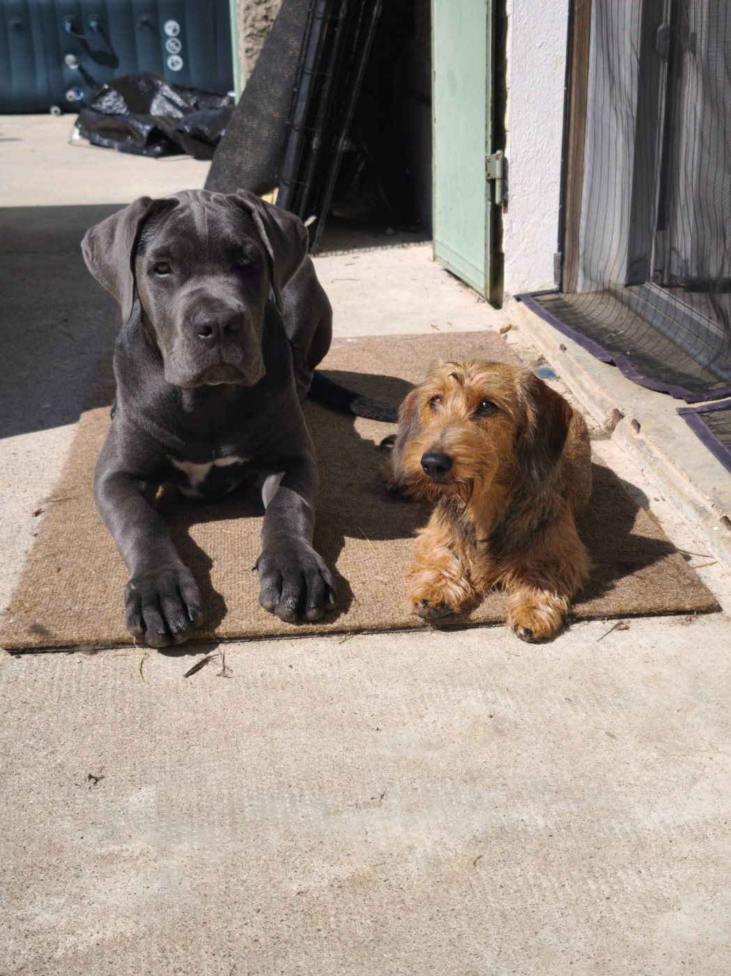 Publication : Des Terres De La Meouge Auteur : Anouchka KRIVOFF