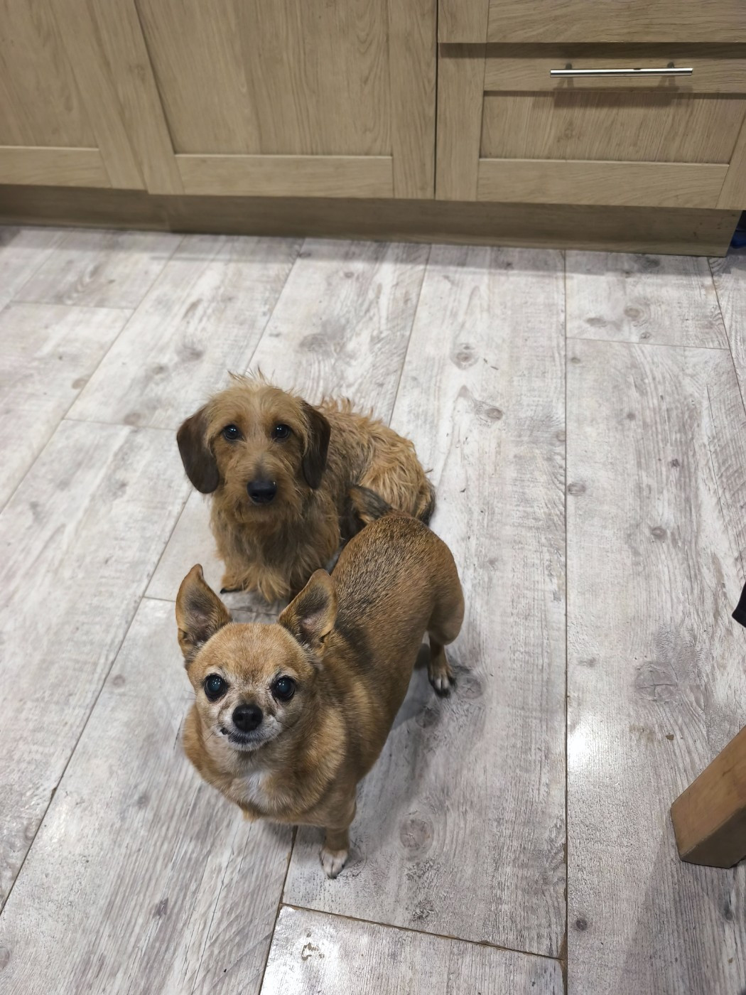 Publication : Des Terres De La Meouge Auteur : Anouchka KRIVOFF