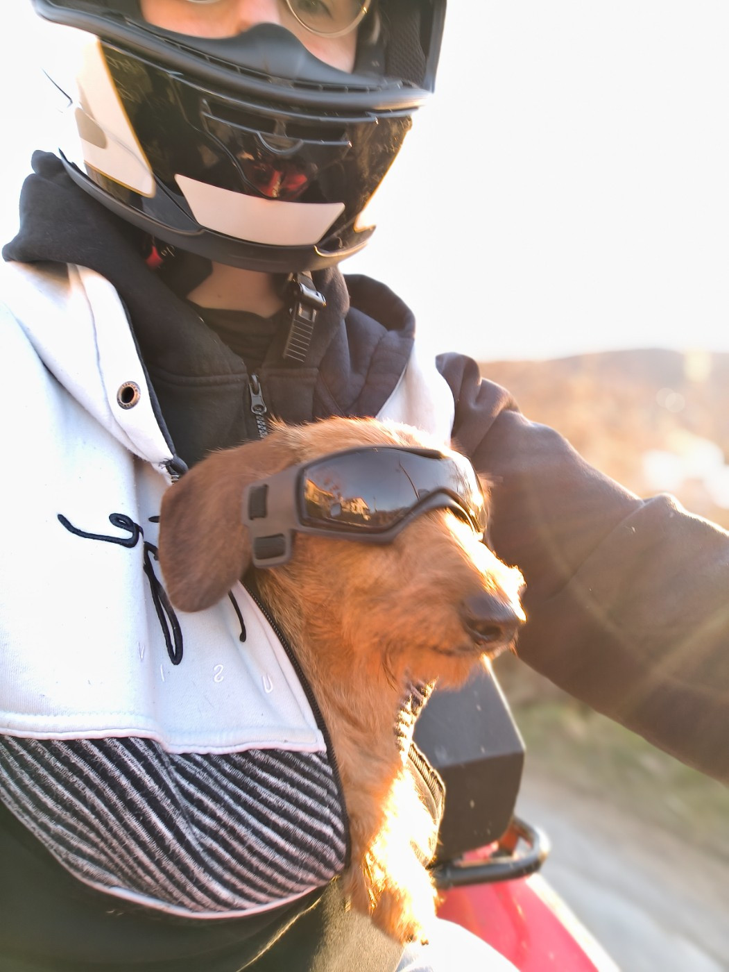 Publication : Des Terres De La Meouge Auteur : Anouchka KRIVOFF