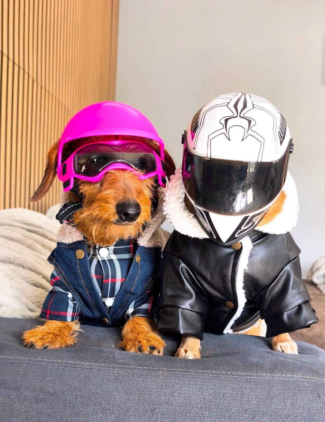 Publication : Des Terres De La Meouge Auteur : Anouchka KRIVOFF