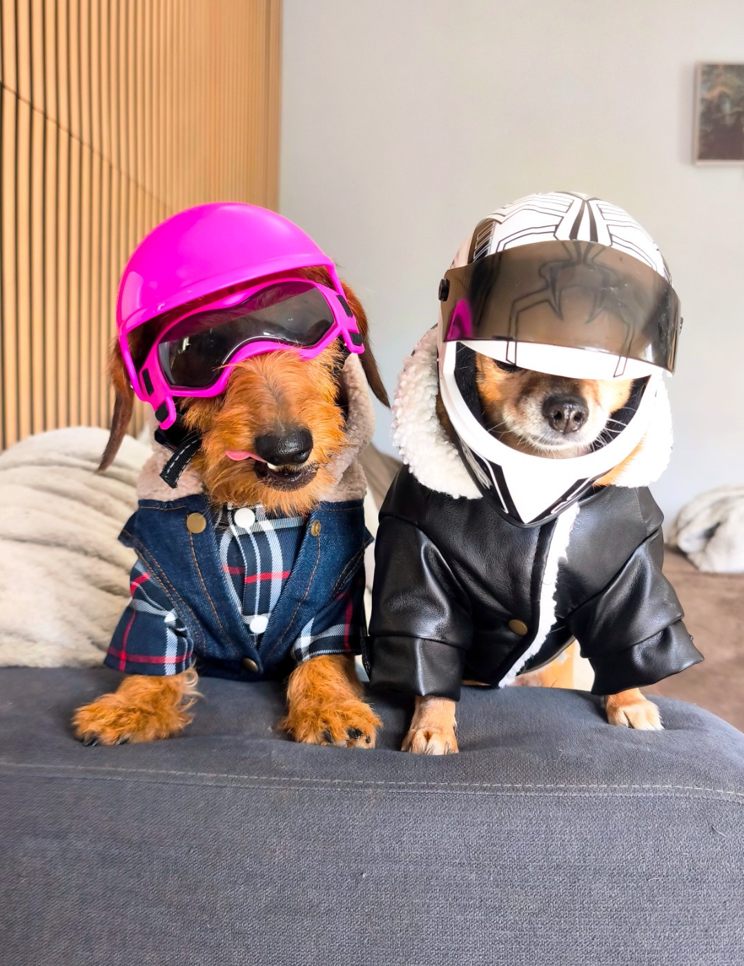 Publication : Des Terres De La Meouge Auteur : Anouchka KRIVOFF