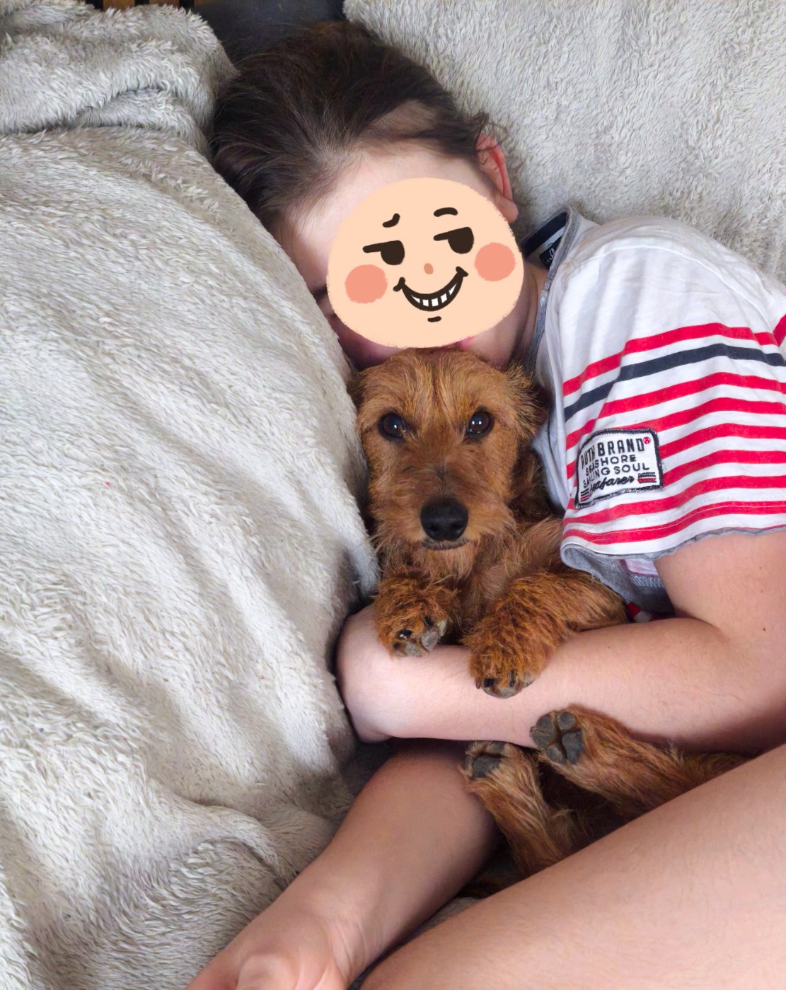 Publication : Des Terres De La Meouge Auteur : Anouchka KRIVOFF