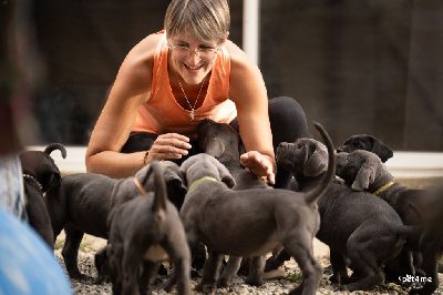 Des Terres De La Meouge