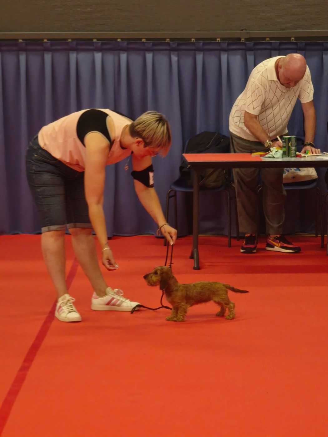 Abby love des gardiens d'Ecosse - Très prometteur