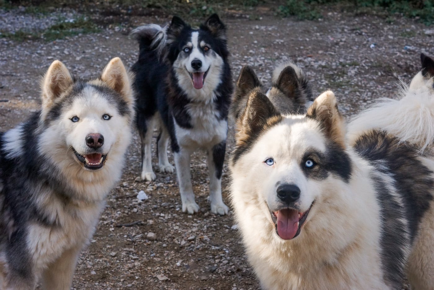 Winter Never Dies Une longue nuit d automne