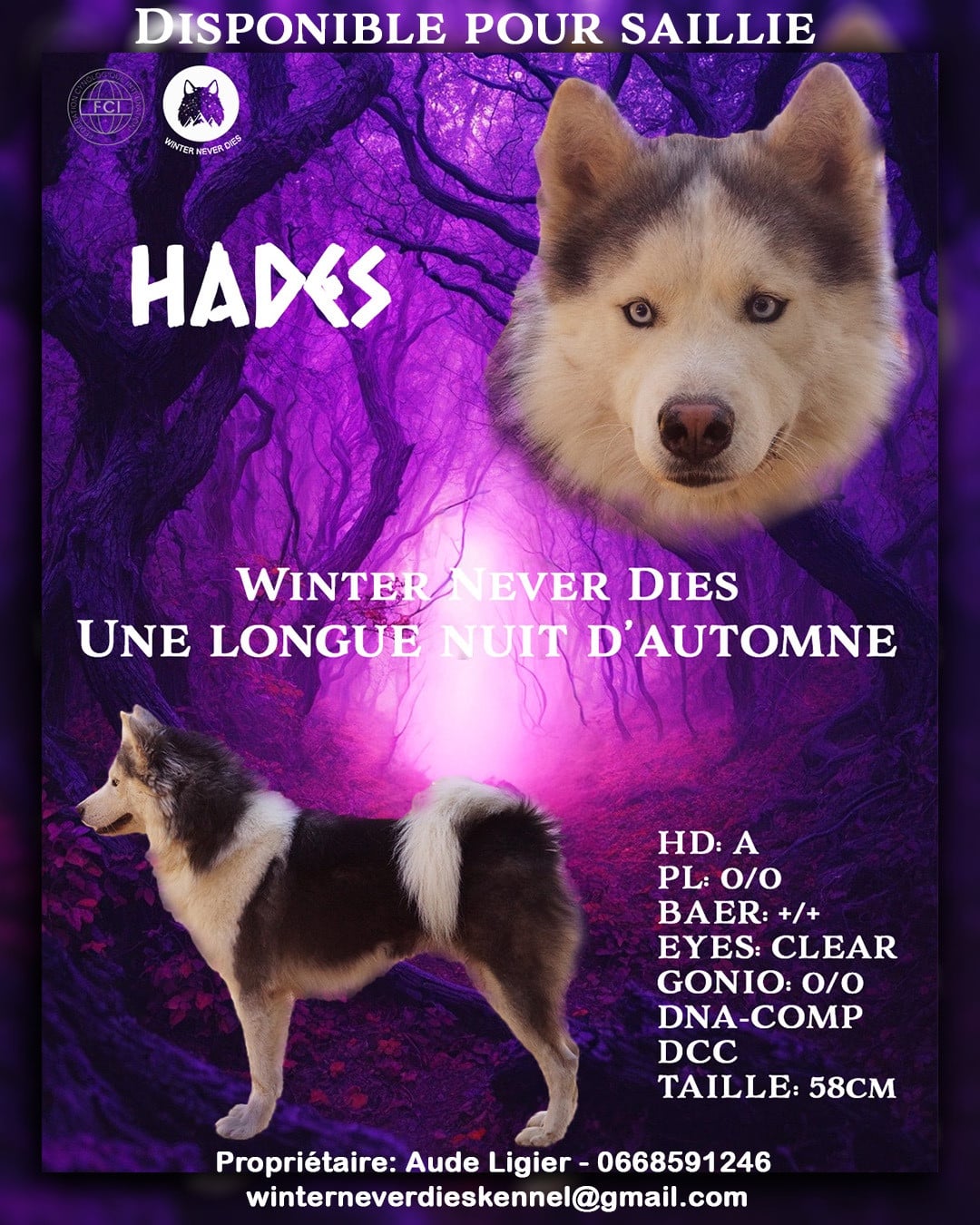 Winter Never Dies Une longue nuit d automne