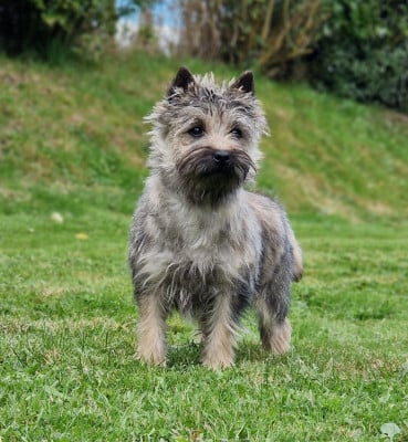 De La Bergerie Warren