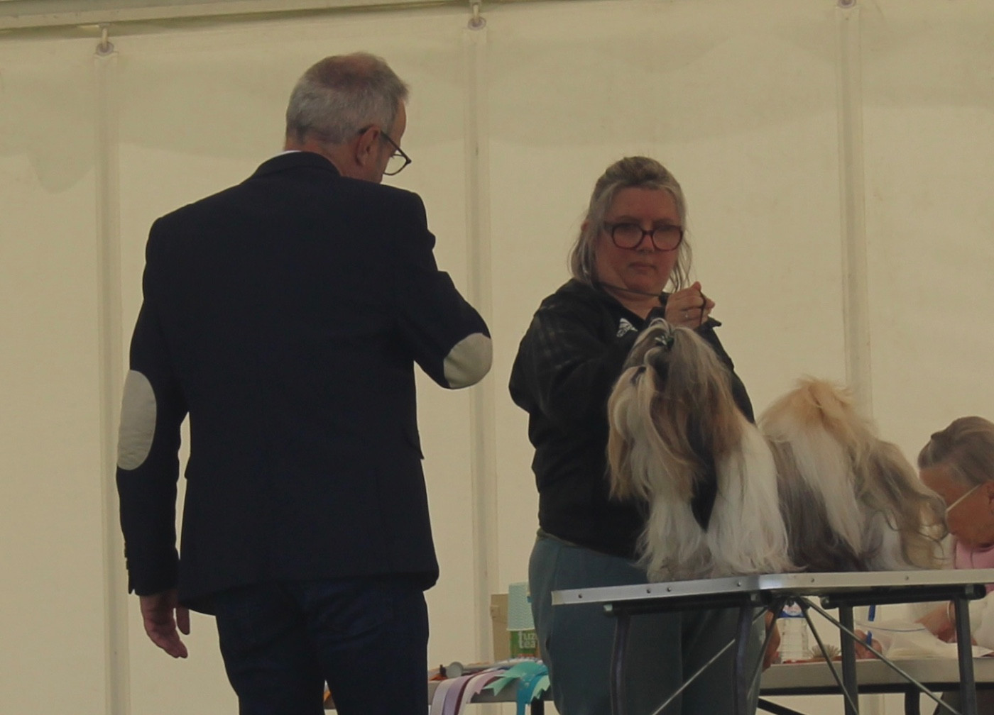 CH. « Queen » V Queen Of Legendary Tibetan - 1er EXCELLENT / CACS / BOS