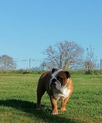 Des Monts De La Moria