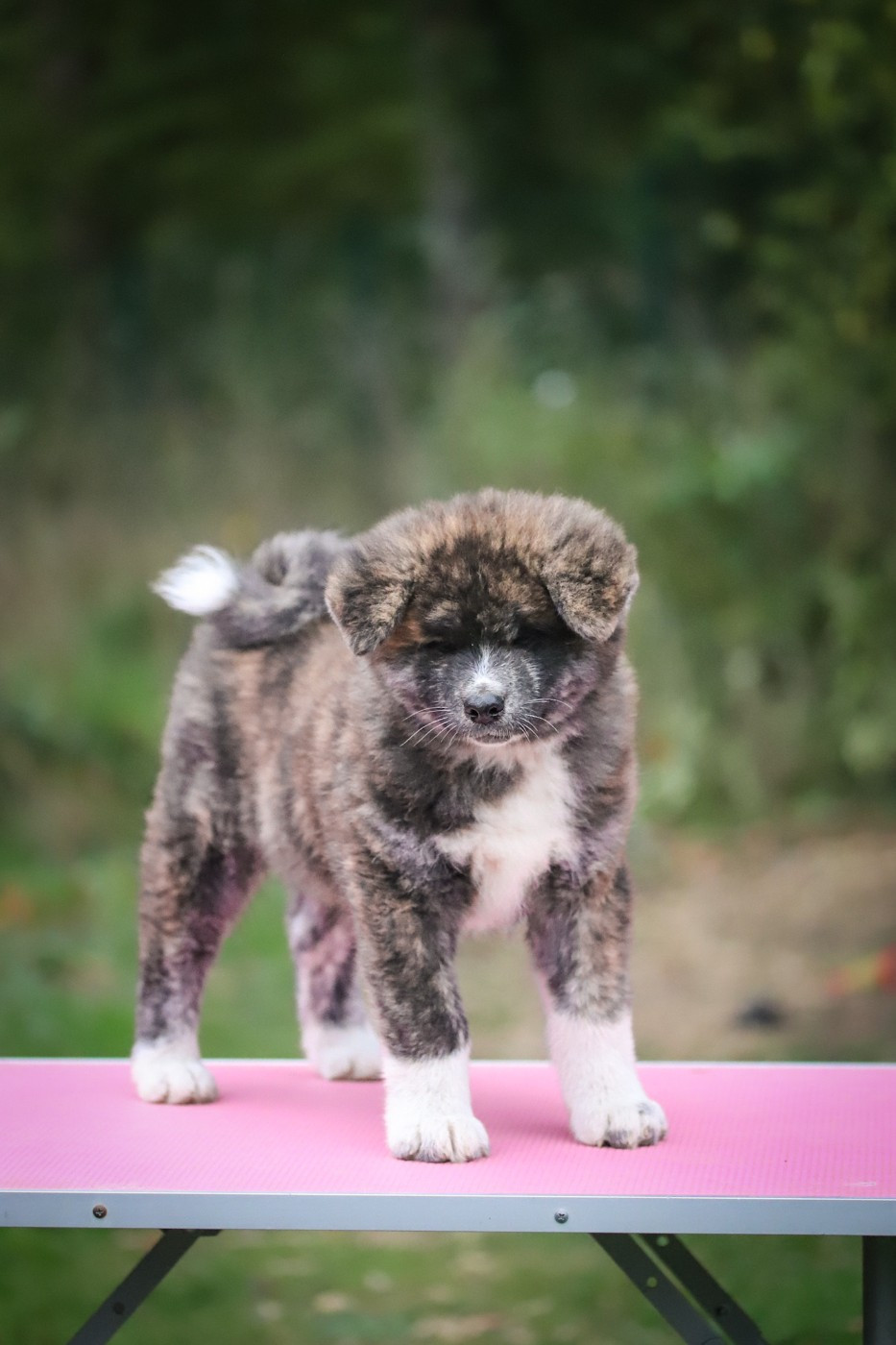 aozora hotaru itsuki