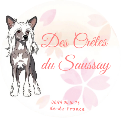 Des Crêtes Du Saussay