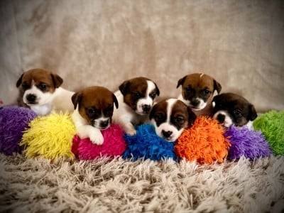 De L'arche De Chambord