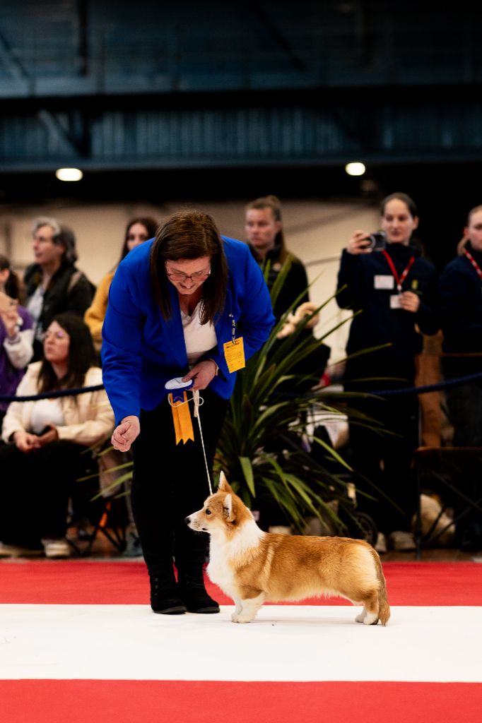 born to be Your legend of zelda - Meilleur Baby