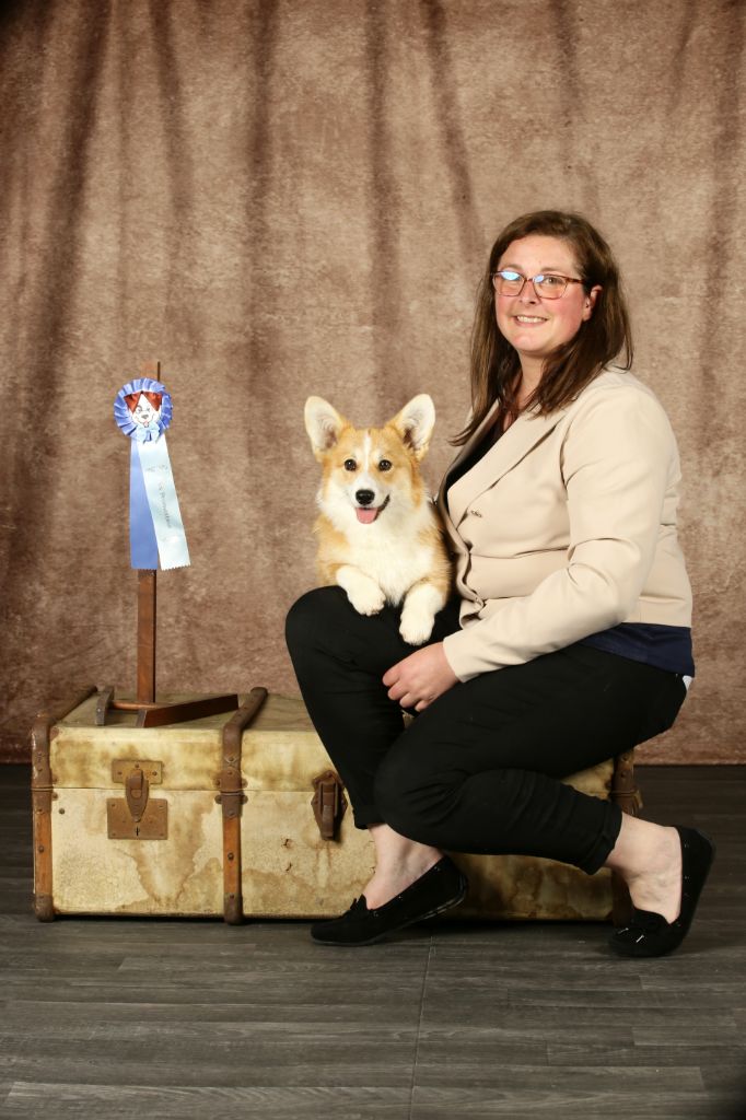 born to be Your legend of zelda - Très prometteur