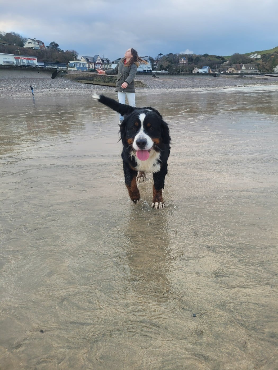 Publication : Des Anges D'ambre