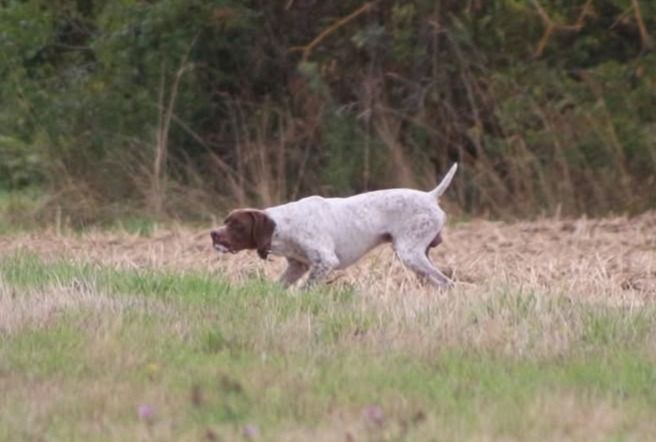 Texas de la veyradeyre