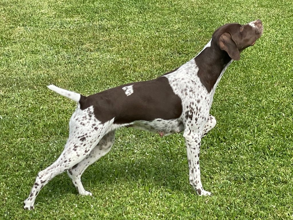 Teodora des monts sapaudia