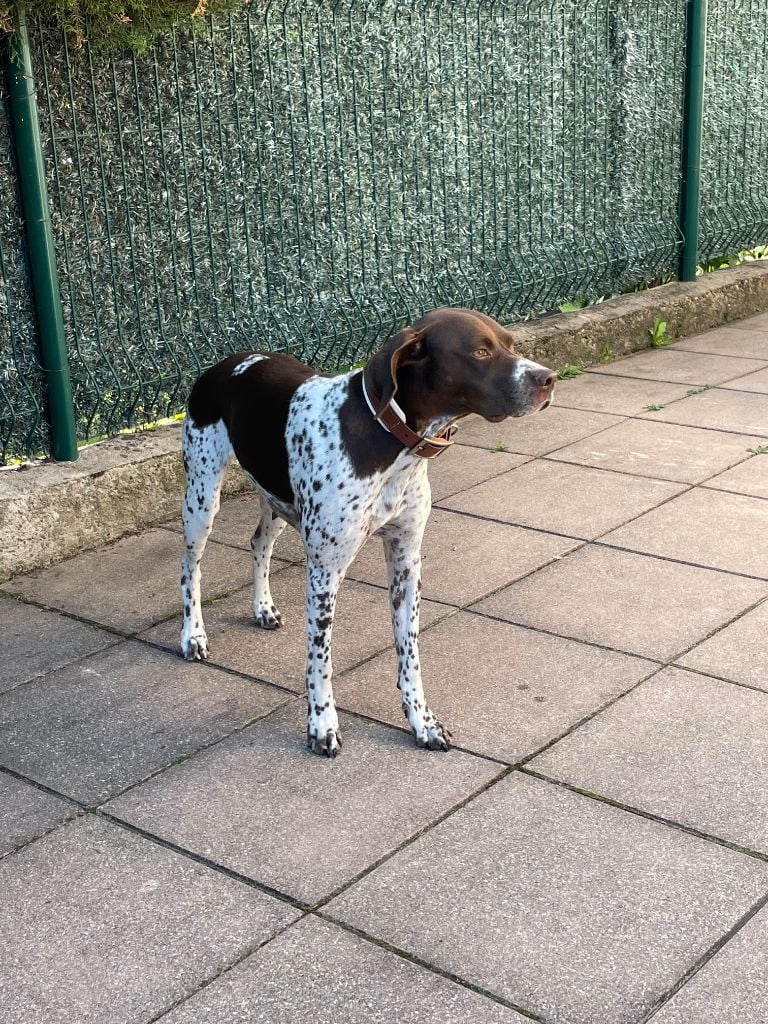 Teodora des monts sapaudia