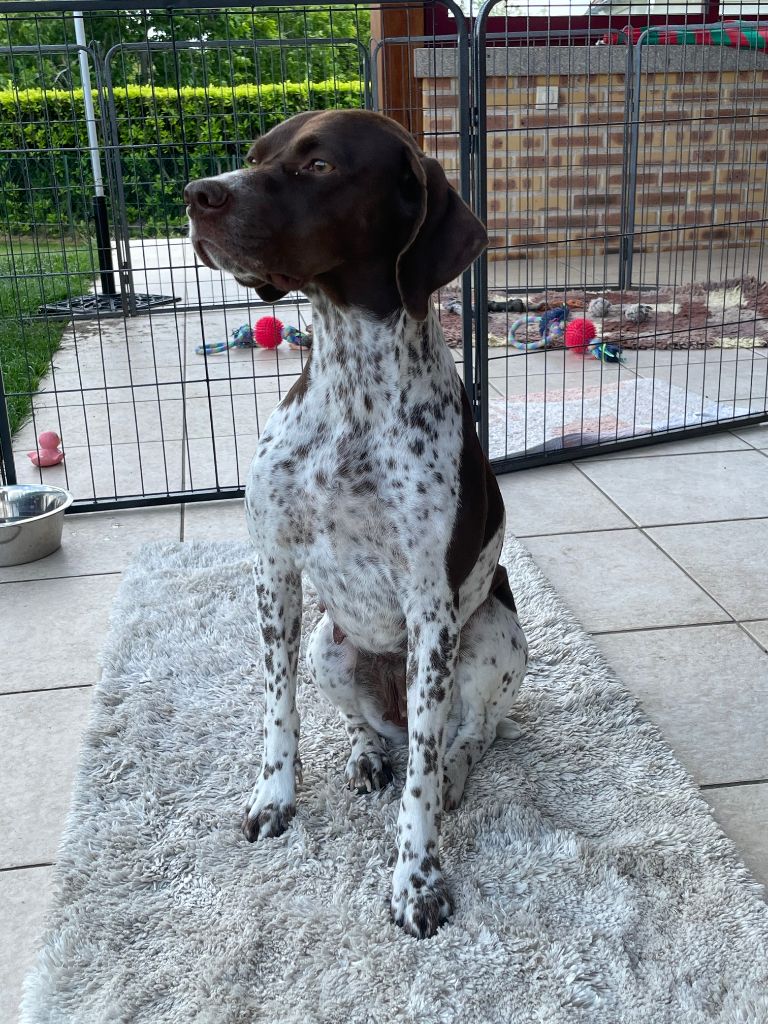 Teodora des monts sapaudia