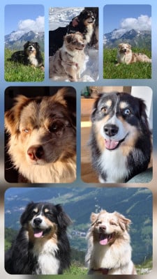 Du Charme De Bonnance