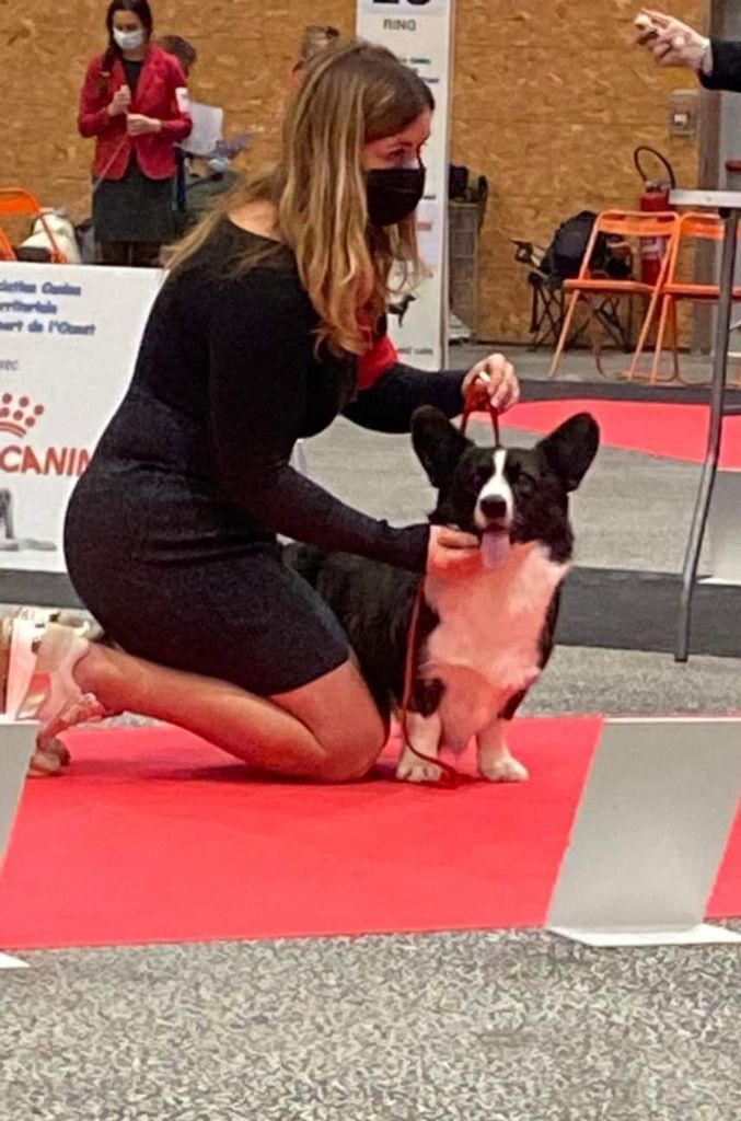 Kingrock Samba - 2eme Excellent