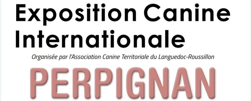 CH. Nawak Vom Weinberges Der Hunde - 2nd EXCELLENT